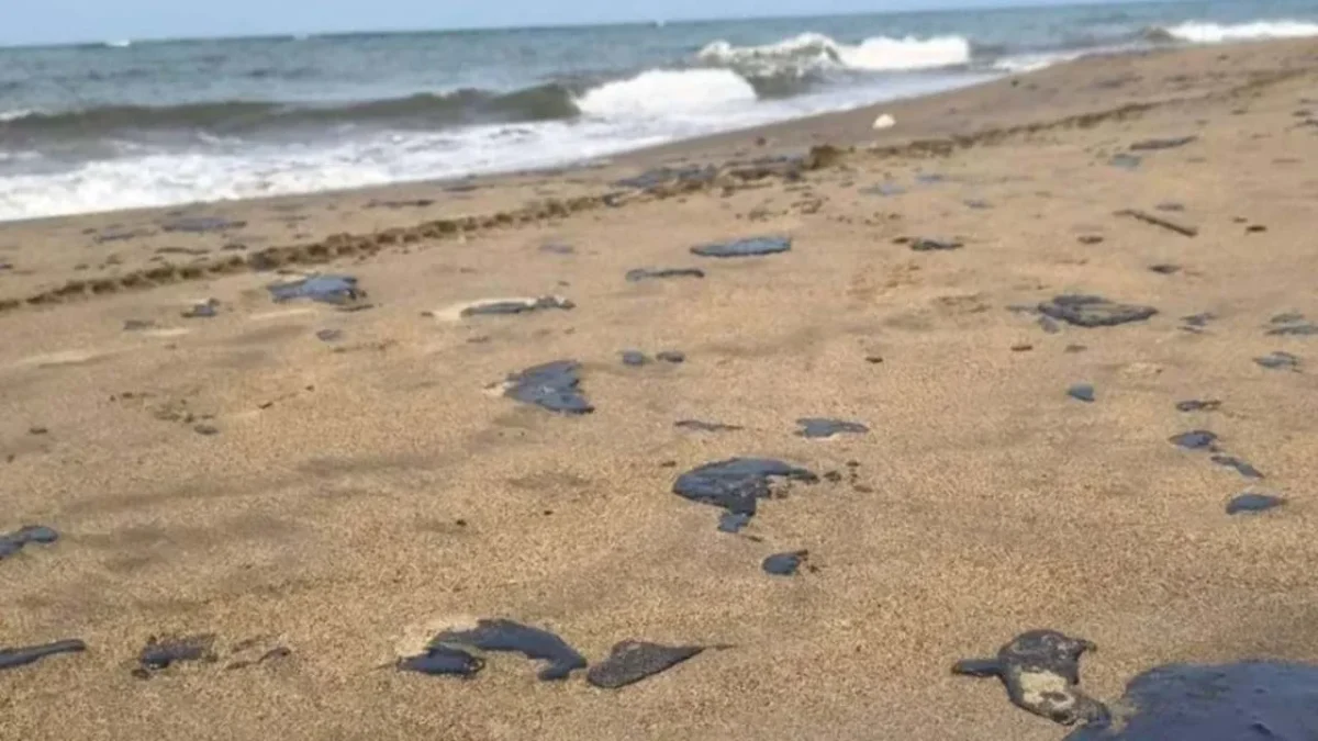 El Gobierno de Veracruz informó que ha disminuido la presencia de residuos de hidrocarburo en playas de Alvarado.