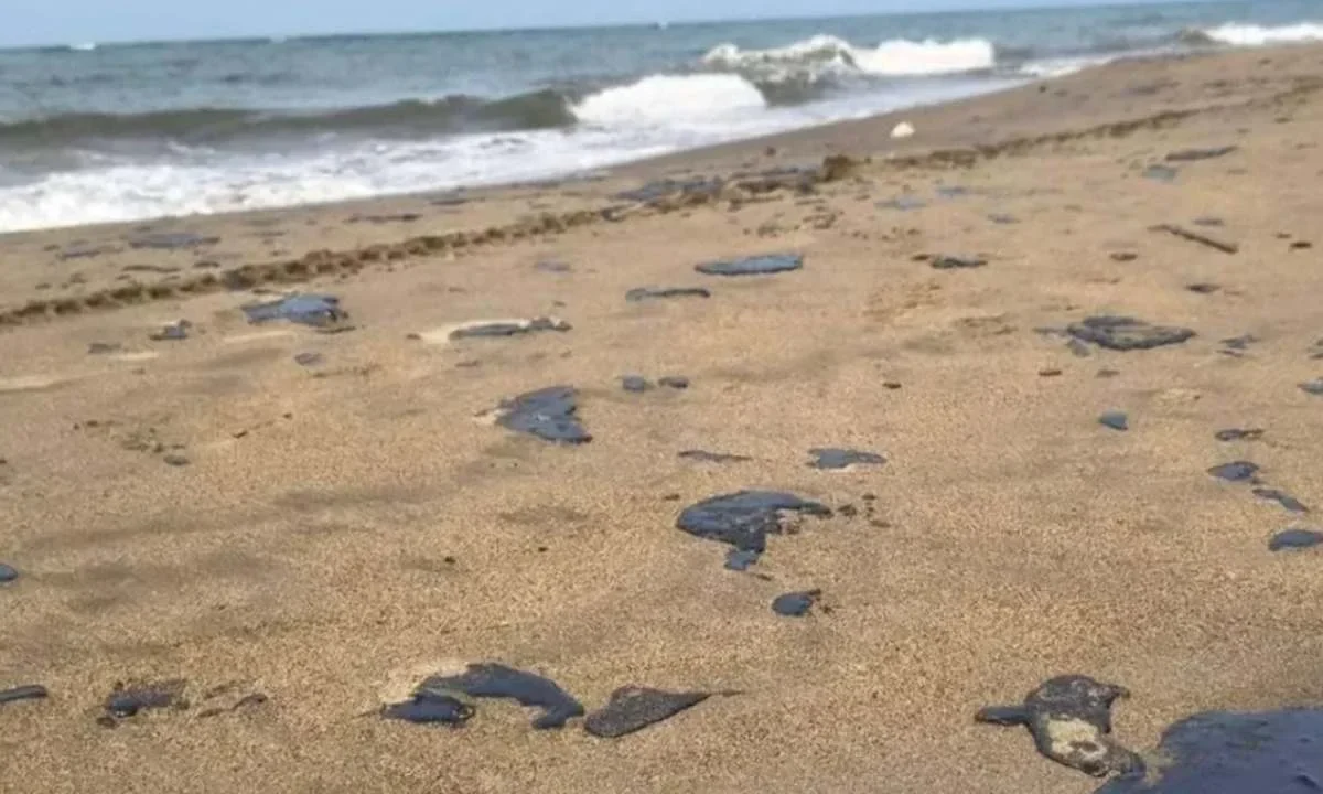 El Gobierno de Veracruz informó que ha disminuido la presencia de residuos de hidrocarburo en playas de Alvarado.