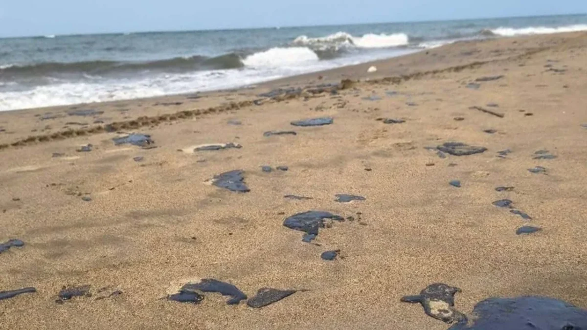 Especialistas consideraron como una tragedia ambiental el derrame de hidrocarburos en los estados de Veracruz y Tabasco.