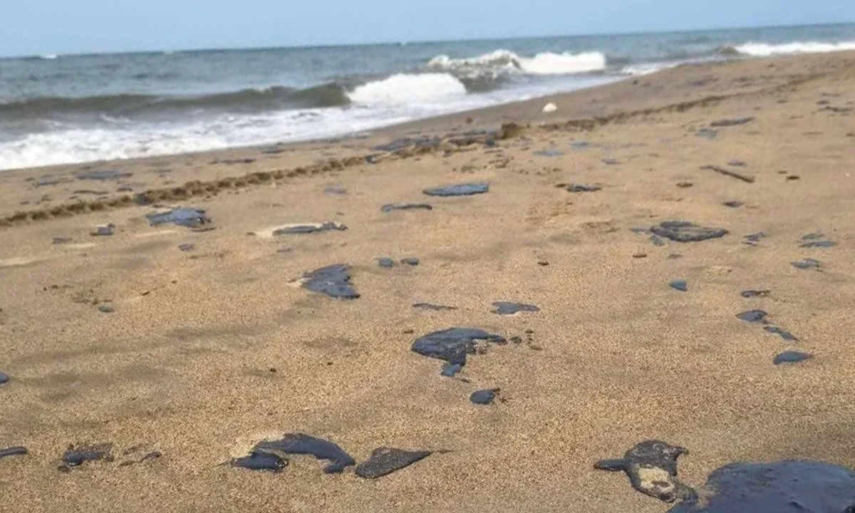 Especialistas consideraron como una tragedia ambiental el derrame de hidrocarburos en los estados de Veracruz y Tabasco.