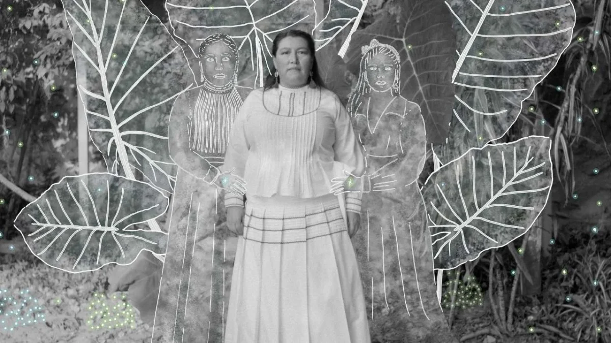 Fotógrafas mexicanas ganan en los Sony World Photography Awards 2026.