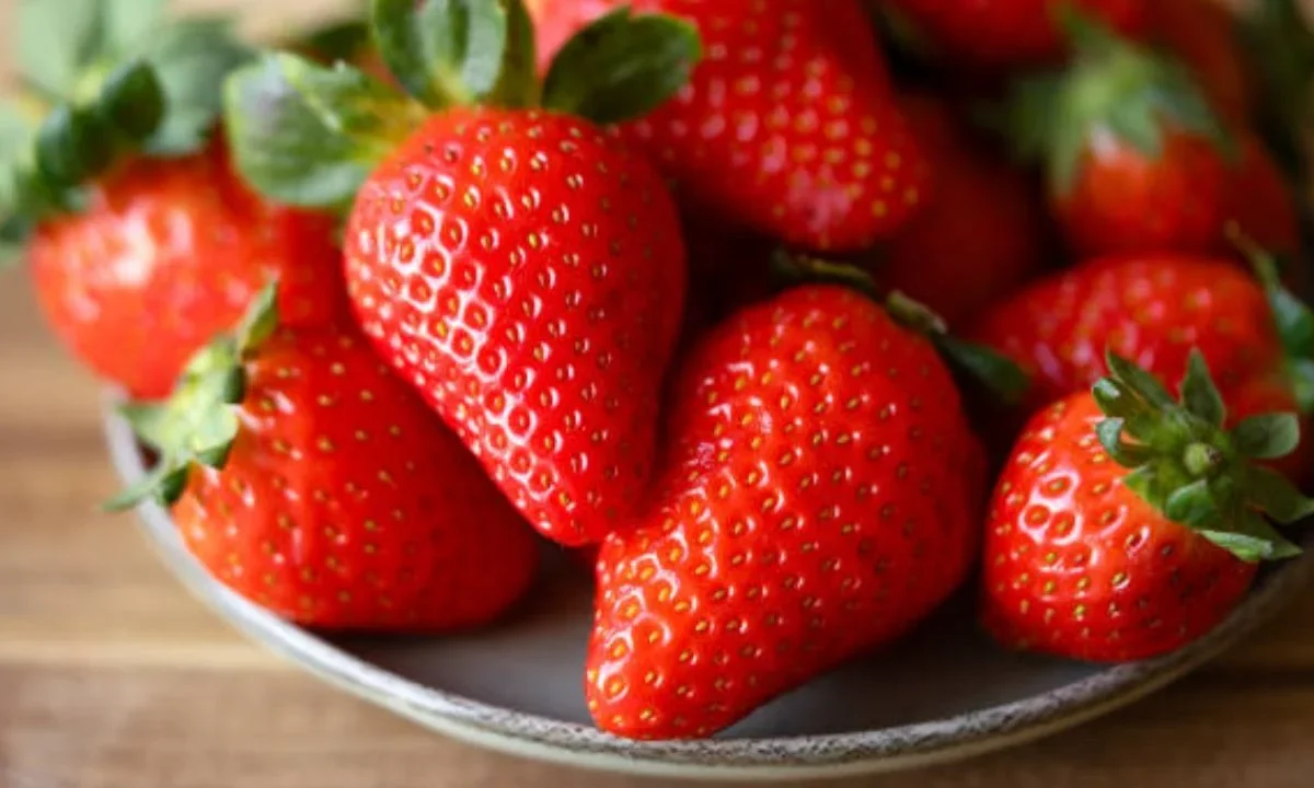 Las fresas destacan por su alto contenido de vitamina C y antioxidantes, de acuerdo con la Procuraduría Federal del Consumidor.