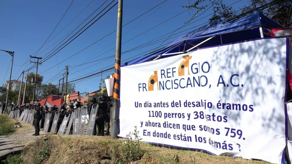 Han pasado 80 días de que la Sedema y la PAOT acreditaron conductas de maltrato y crueldad animal cometidas por el Refugio Franciscano.
