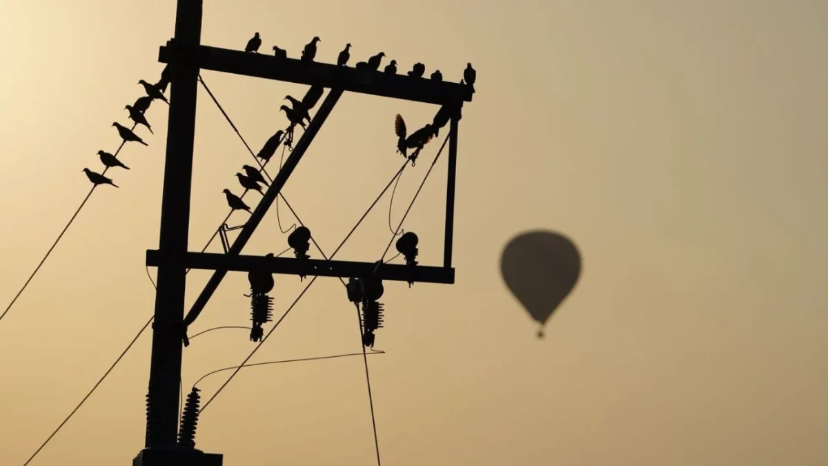 Un globo aerostático impactó contra el cableado eléctrico en Teotihuacán y dejó a 2 turistas heridos quienes presentan quemaduras.