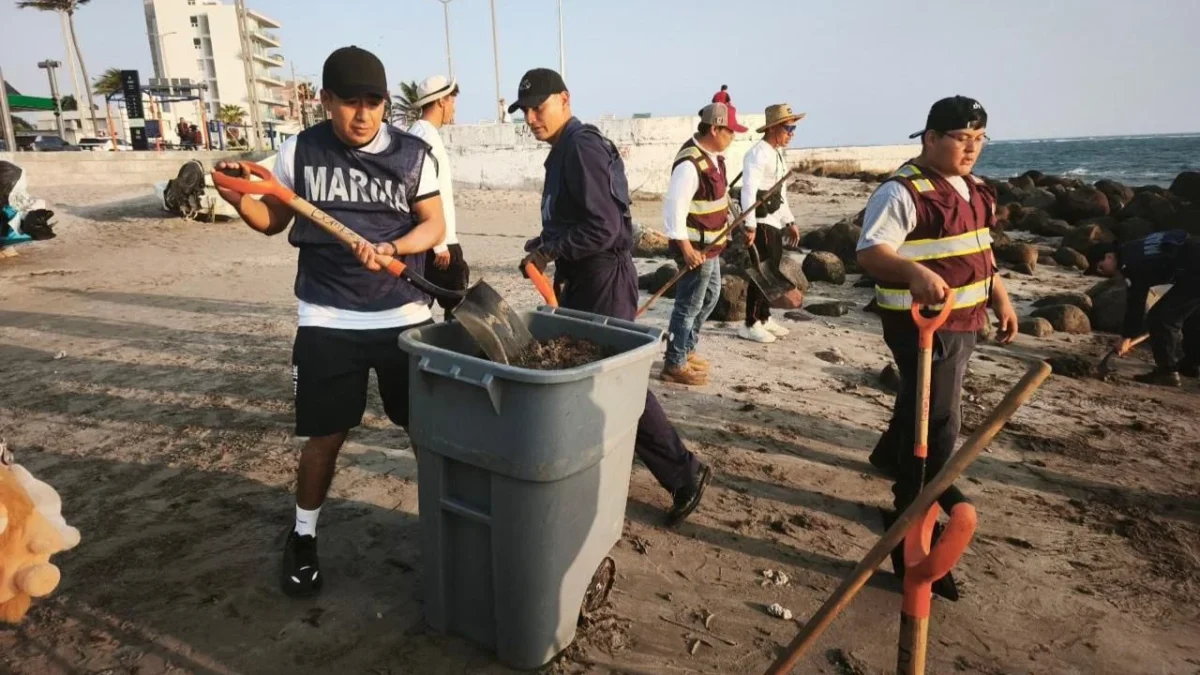 Se mantienen activas las acciones de coordinación institucional para atender las manchas de hidrocarburo en playas de Veracruz y Tabasco. 