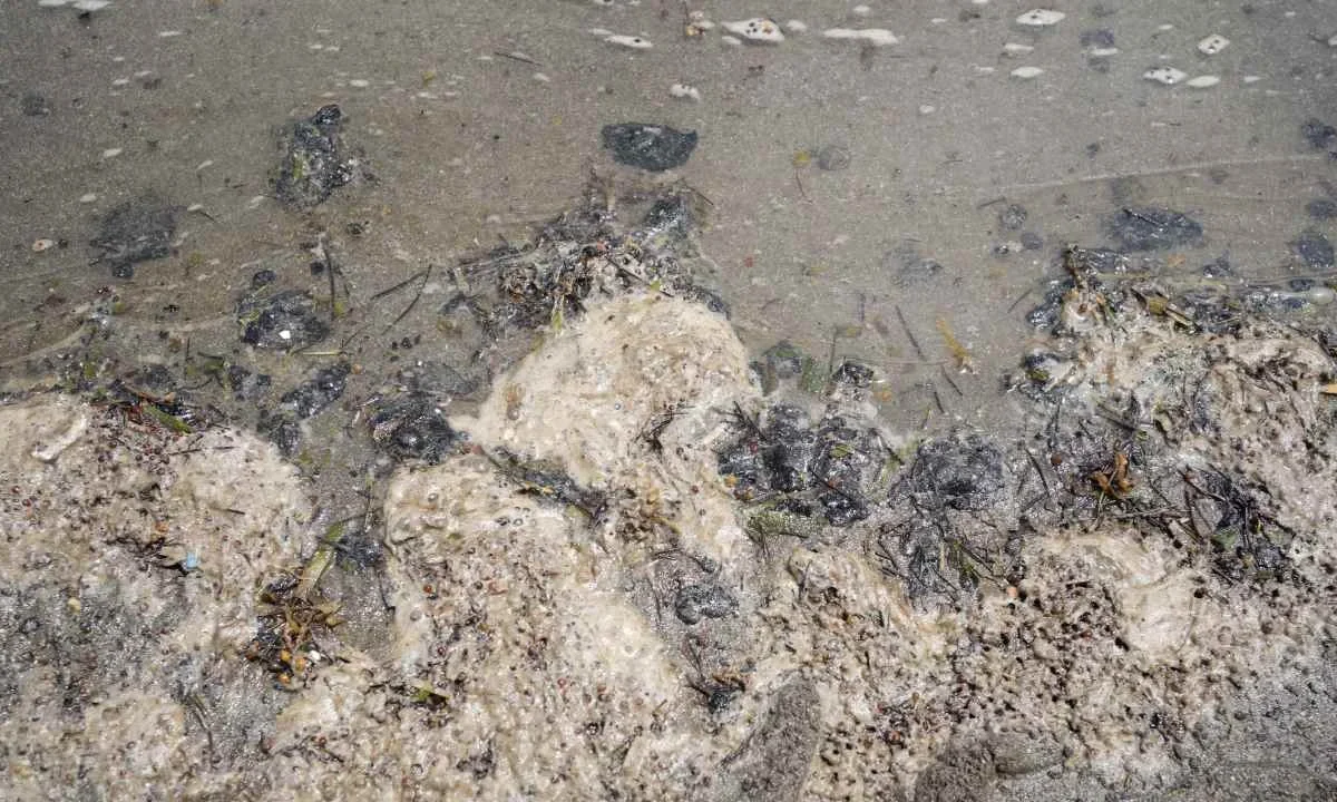 Invierten 217 millones de pesos en labores de limpieza de playas y costas por el derrame de hidrocarburo.