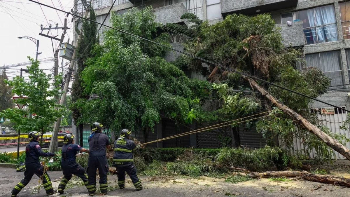 El Gobierno capitalino reportó la caída de 28 árboles en diferentes puntos de la ciudad, sin ocasionar algún lesionado, solo daños materiales.