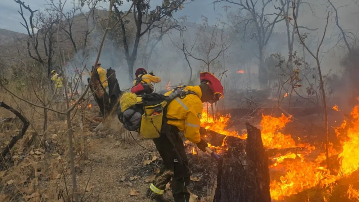 Mantienen alerta atmosférica por incendio en el bosque La Primavera