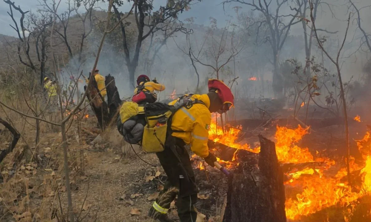 Mantienen alerta atmosférica por incendio en el bosque La Primavera