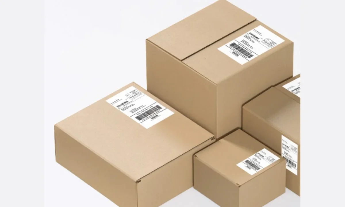 Correos de México reanudó los envíos de paquetería a Estados Unidos con nuevos requisitos, manteniendo los costos para los usuarios.