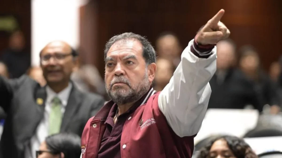 Morena respaldará reforma electoral, 'todos a buscar el voto en las calles': Aldana