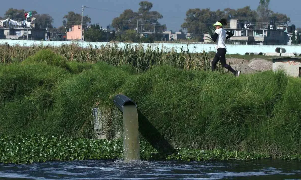 LUCHA. Habitantes yucatecos han luchado por años contra la contaminación de las granjas.
