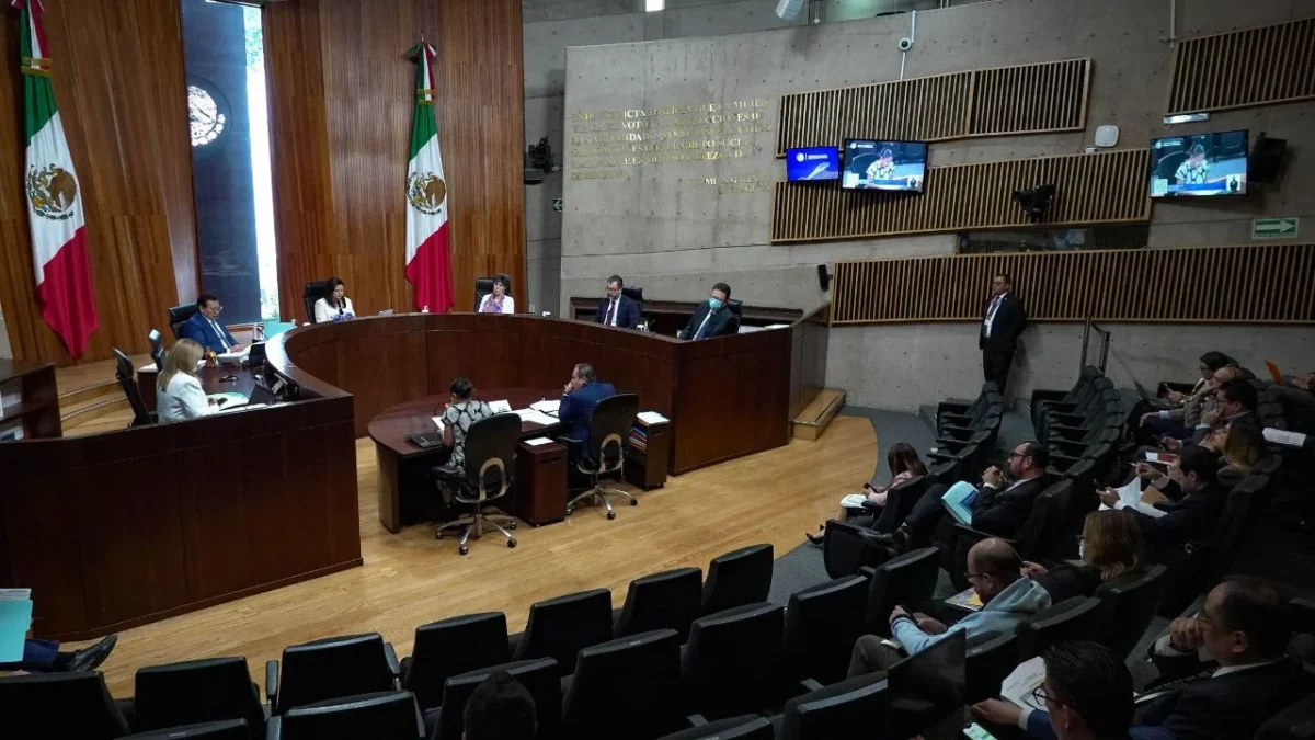 Perfila magistrado del TEPJF anular sanciones contra la activista Emma Zermeño