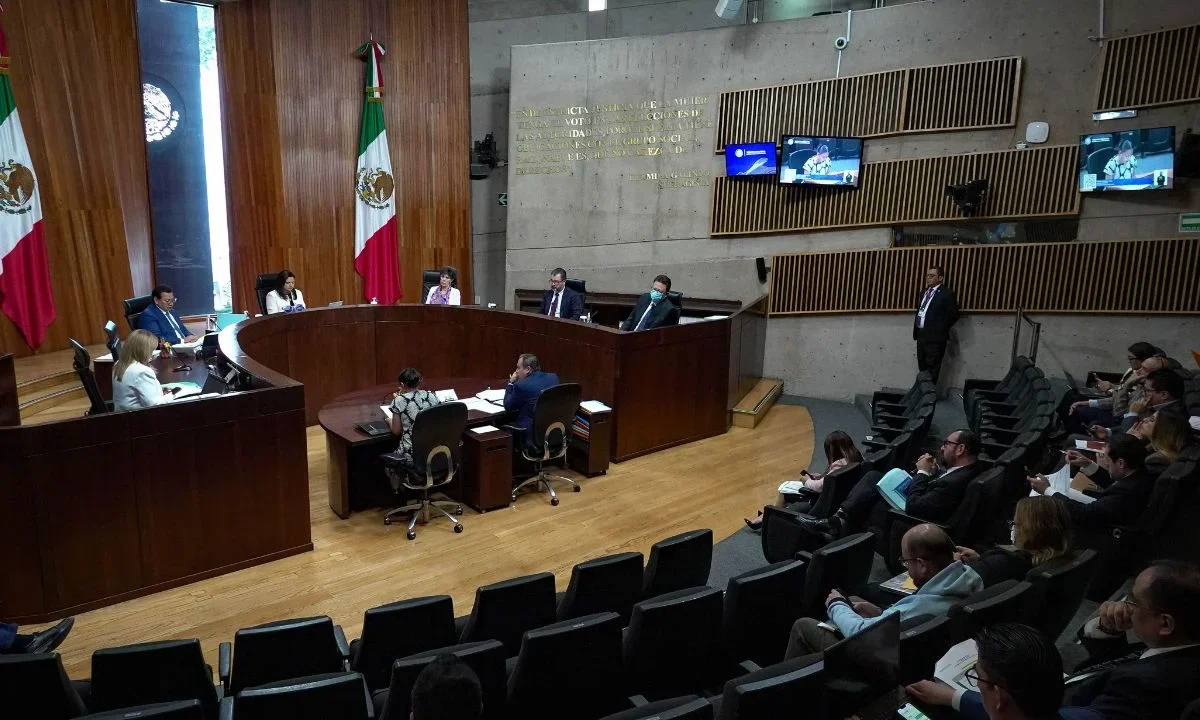 Perfila magistrado del TEPJF anular sanciones contra la activista Emma Zermeño