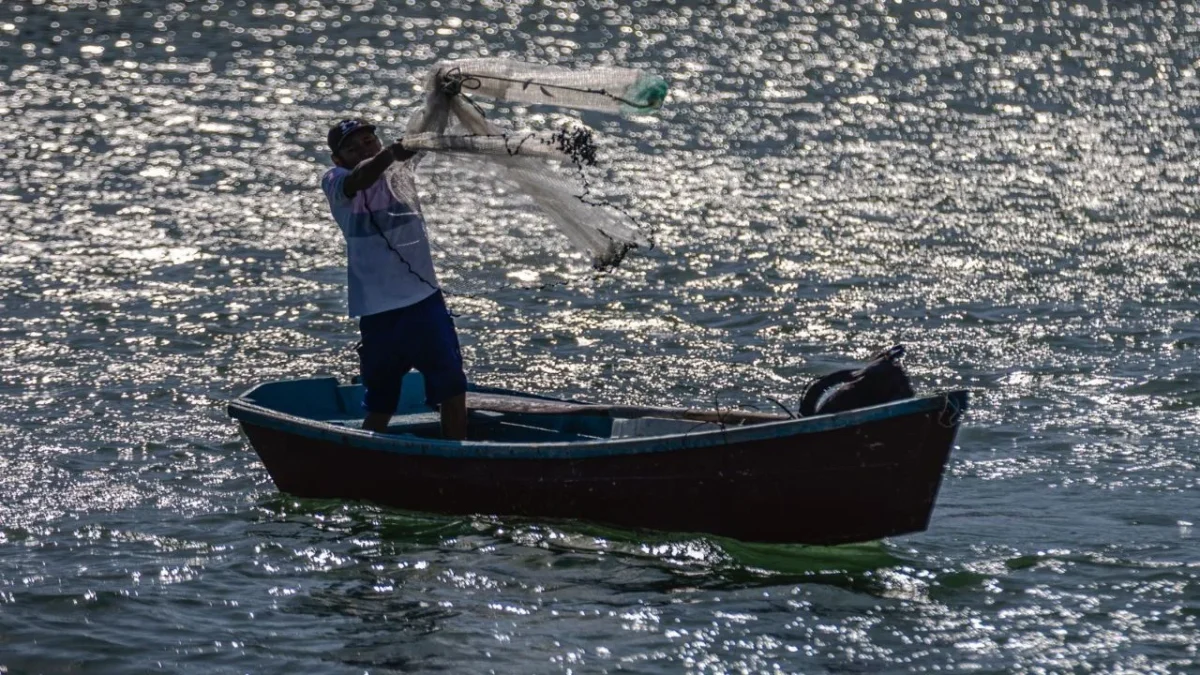 Pescadores de Yucatán llegan a este gran muelle en busca de una actividad que no sólo les proporciona alimento, también paz.