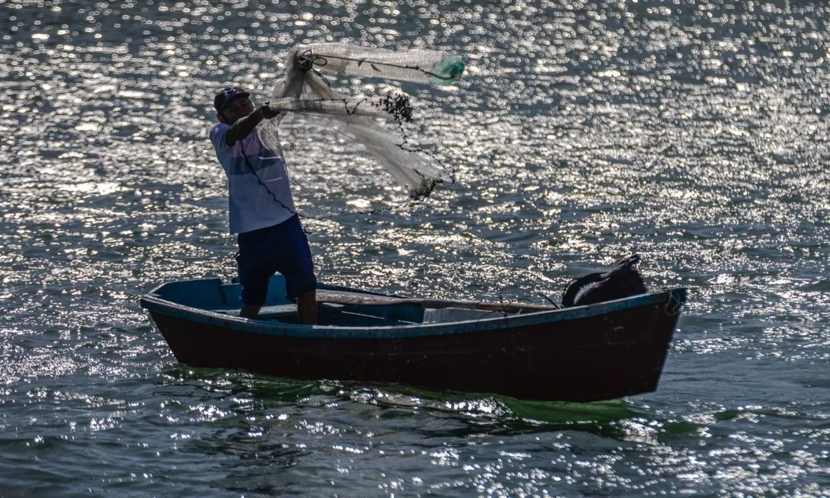 Pescadores de Yucatán llegan a este gran muelle en busca de una actividad que no sólo les proporciona alimento, también paz.