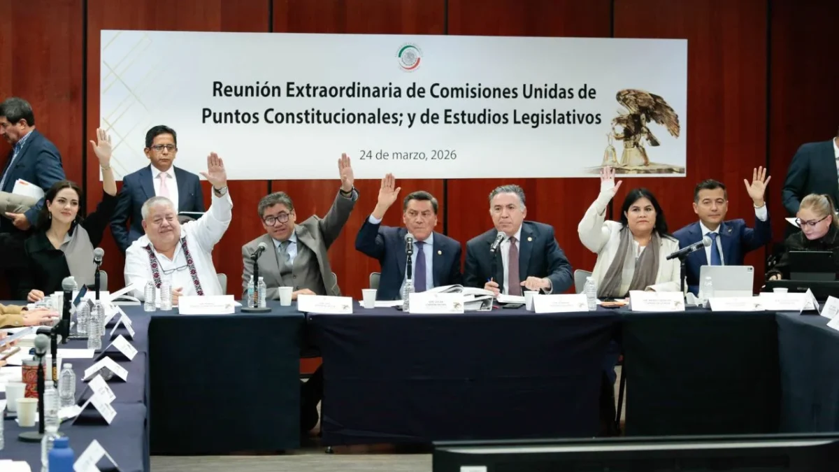 Las comisiones unidas de Puntos Constitucionales y de Estudios Legislativos del Senado aprobaron el Plan B en materia electoral.
