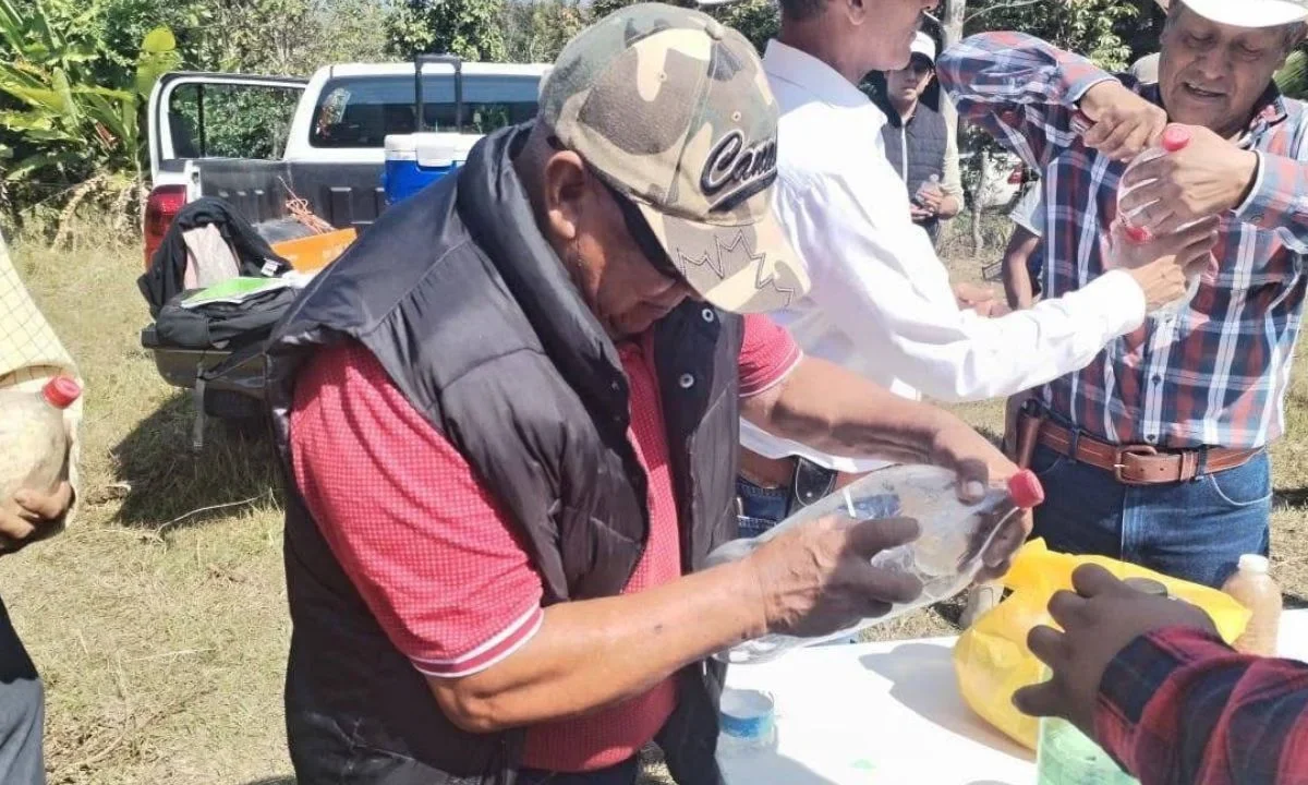 Botellas de pet usadas, hígado molido y restos de pescado se convirtieron en herramientas de contención del gusano barrenador en Chiapas.