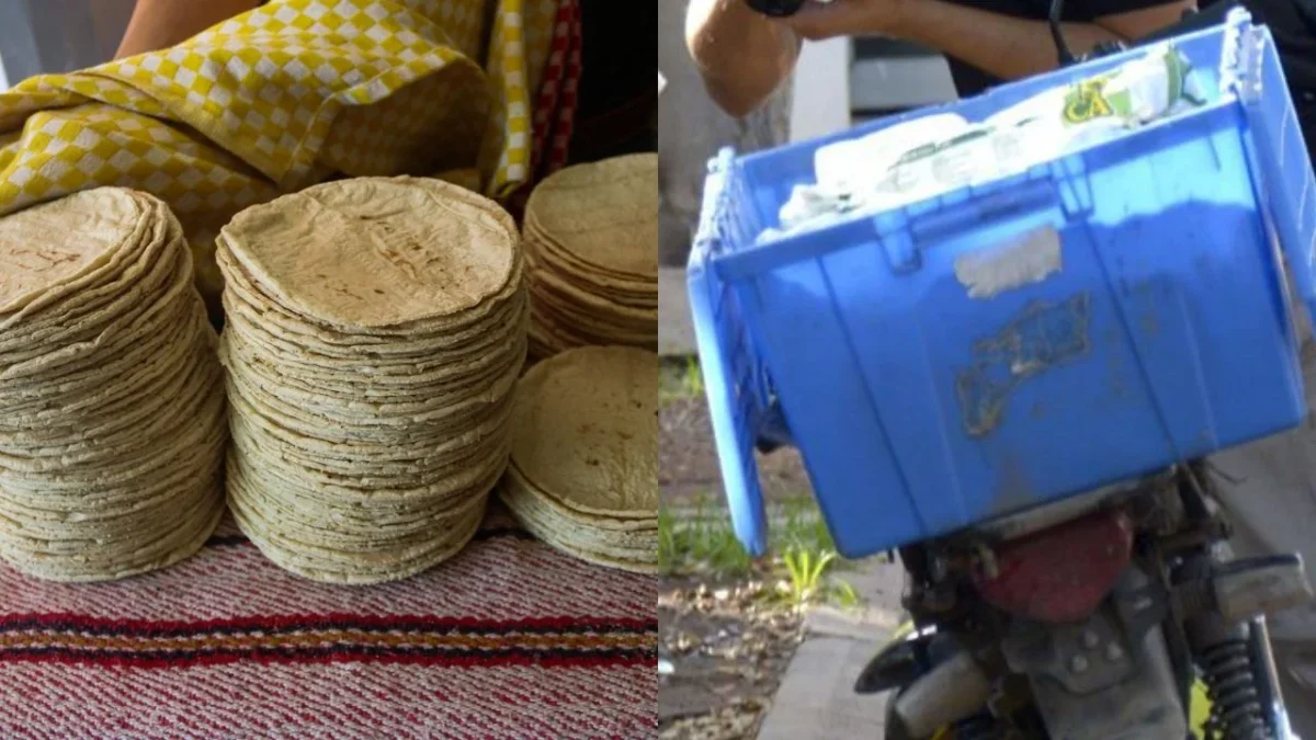 Luego de que un funcionario de la Odeco declaró sobre multas a comercios que transporten tortillas en hieleras, la Profeco lo desmintió.