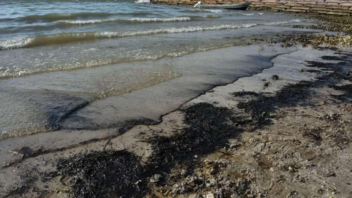 Equipo conformado por científicos, Pemex y dependencias federales inspecciona ductos en Cantarell para ubicar el origen de las emanaciones de petróleo en el Golfo de México.