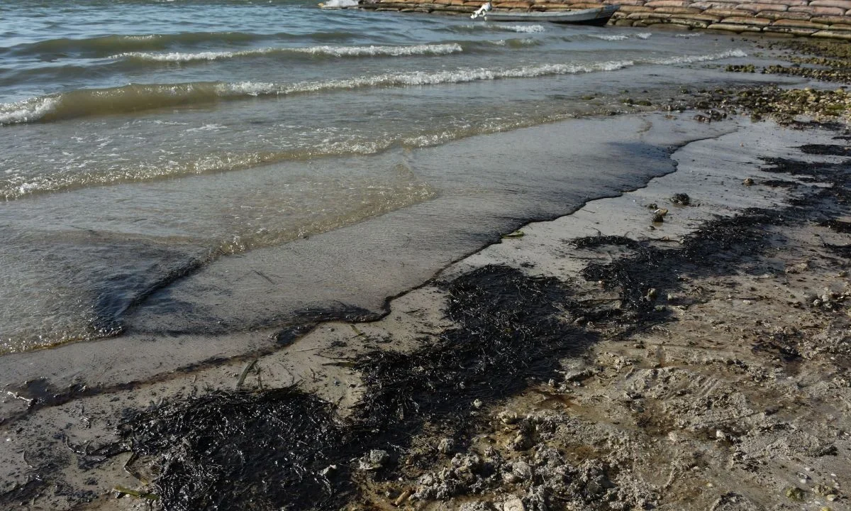 Equipo conformado por científicos, Pemex y dependencias federales inspecciona ductos en Cantarell para ubicar el origen de las emanaciones de petróleo en el Golfo de México.