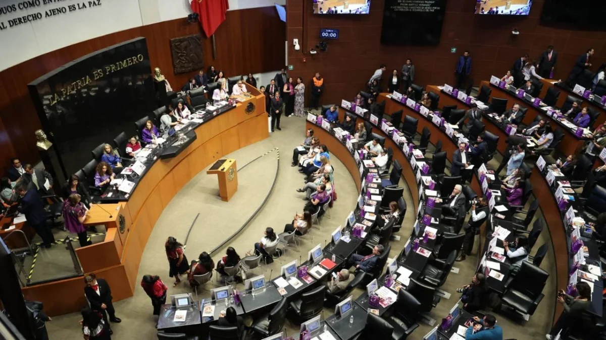 Laura Itzel Castillo, presidenta del Senado, informó que recibió iniciativa de la presidenta Sheinbaum para fortalecer al campo mexicano.