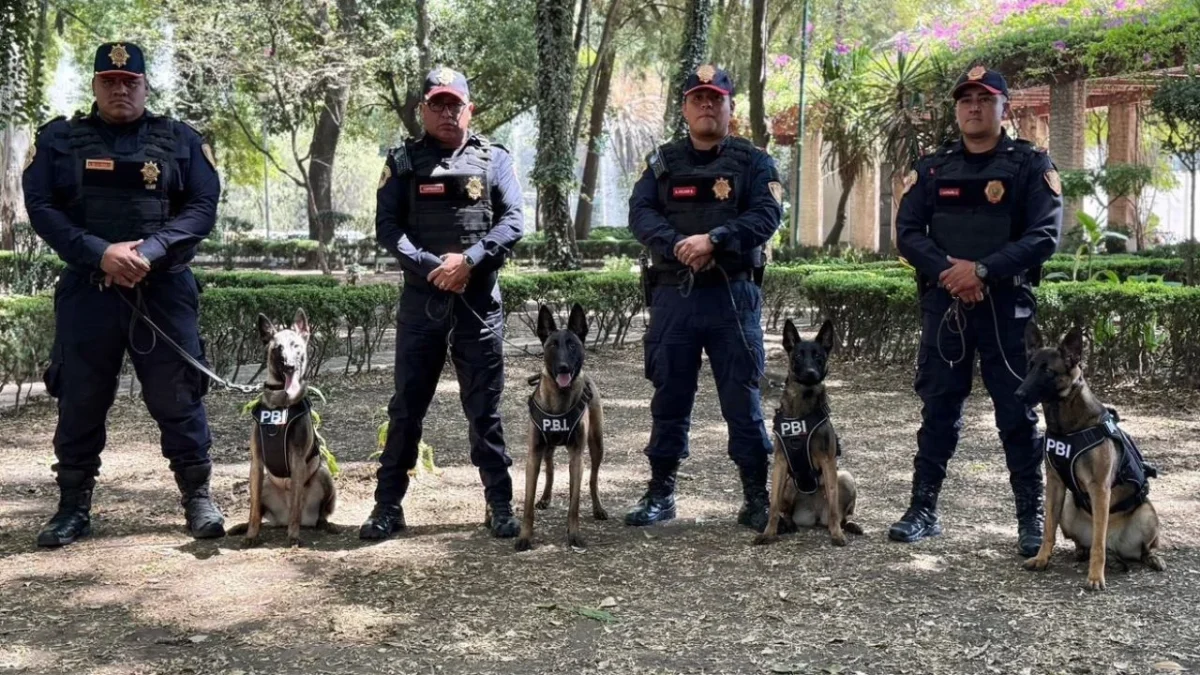 La Policía Bancaria e Industrial dio la bienvenida a cuatro nuevos binomios caninos para sumarse a labores de seguridad del Mundial 2026.
