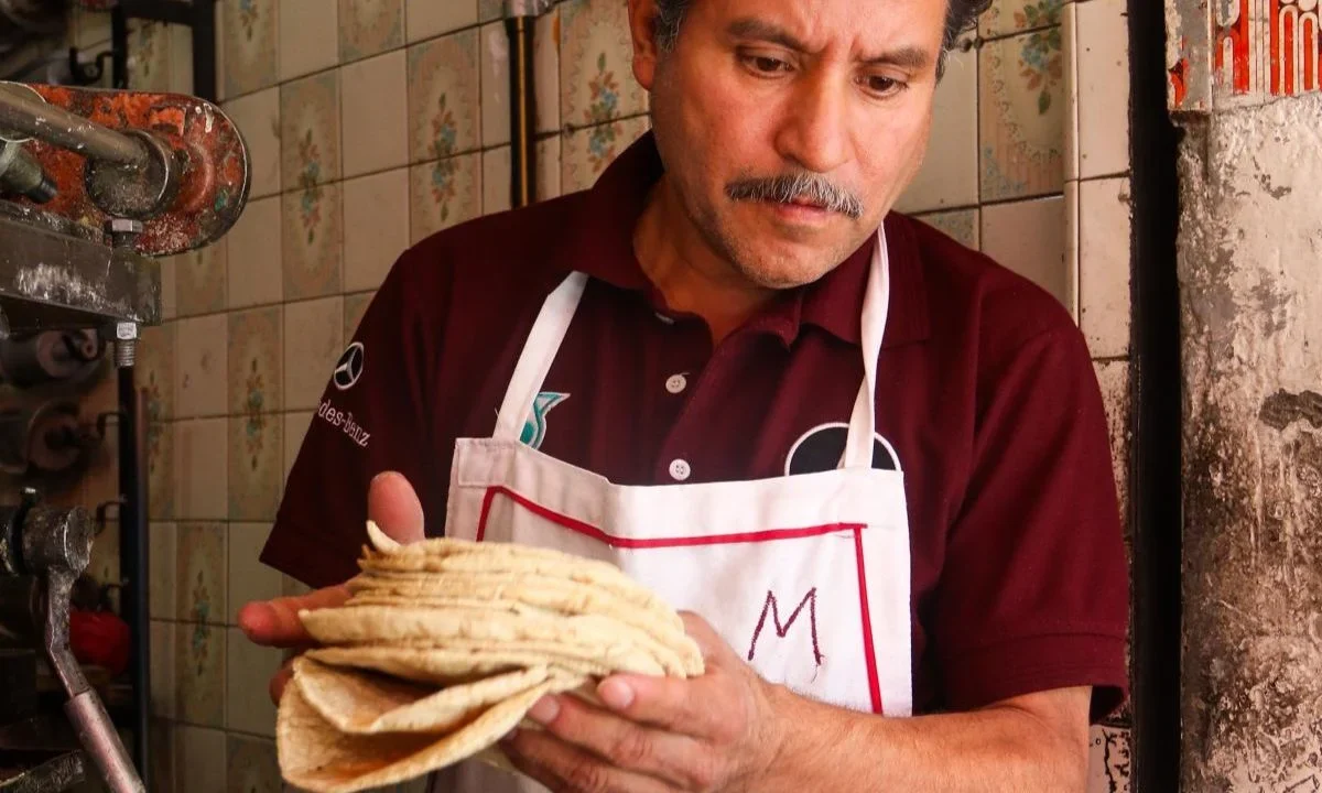 Alza del precio de la tortilla no tiene que ver con el maíz, explica el GCMA