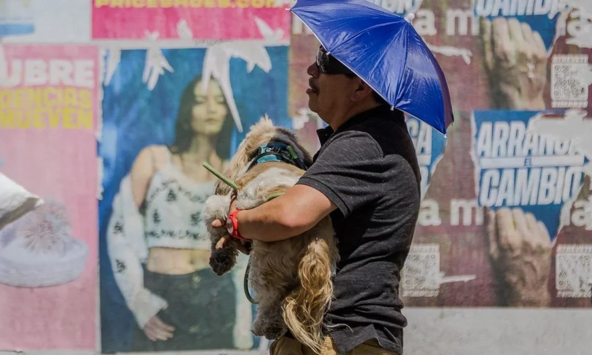 Clima hoy: la onda de calor continúa afectando gran parte de México, mientras en el norte se esperan lluvias intensas, descargas eléctricas y tolvaneras.