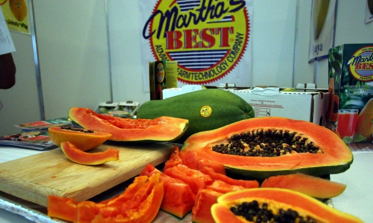 Sembrar autonomía rescata la soberanía alimentaria de Yucatán