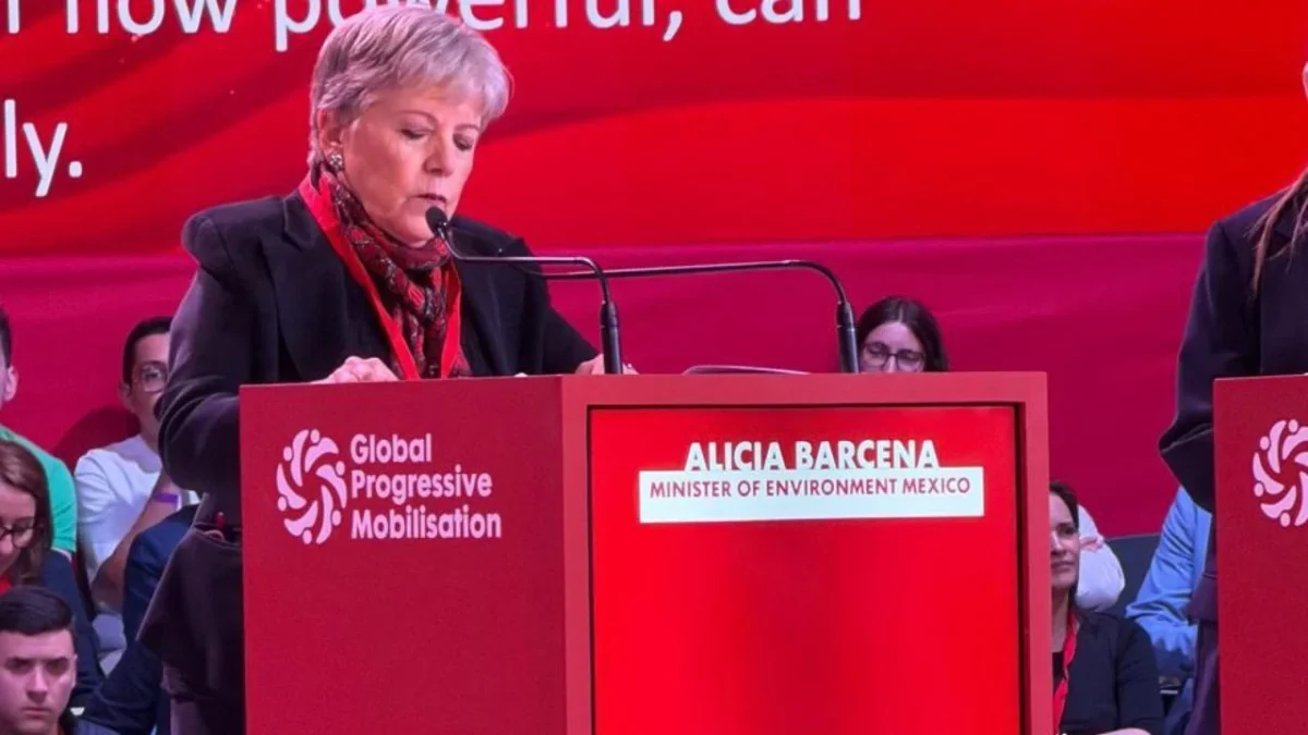 La titular de la Semarnat, Alicia Bárcena, propuso impulsar reformas en la ONU, incluyendo la eliminación del derecho de veto y la ampliación del Consejo de Seguridad.