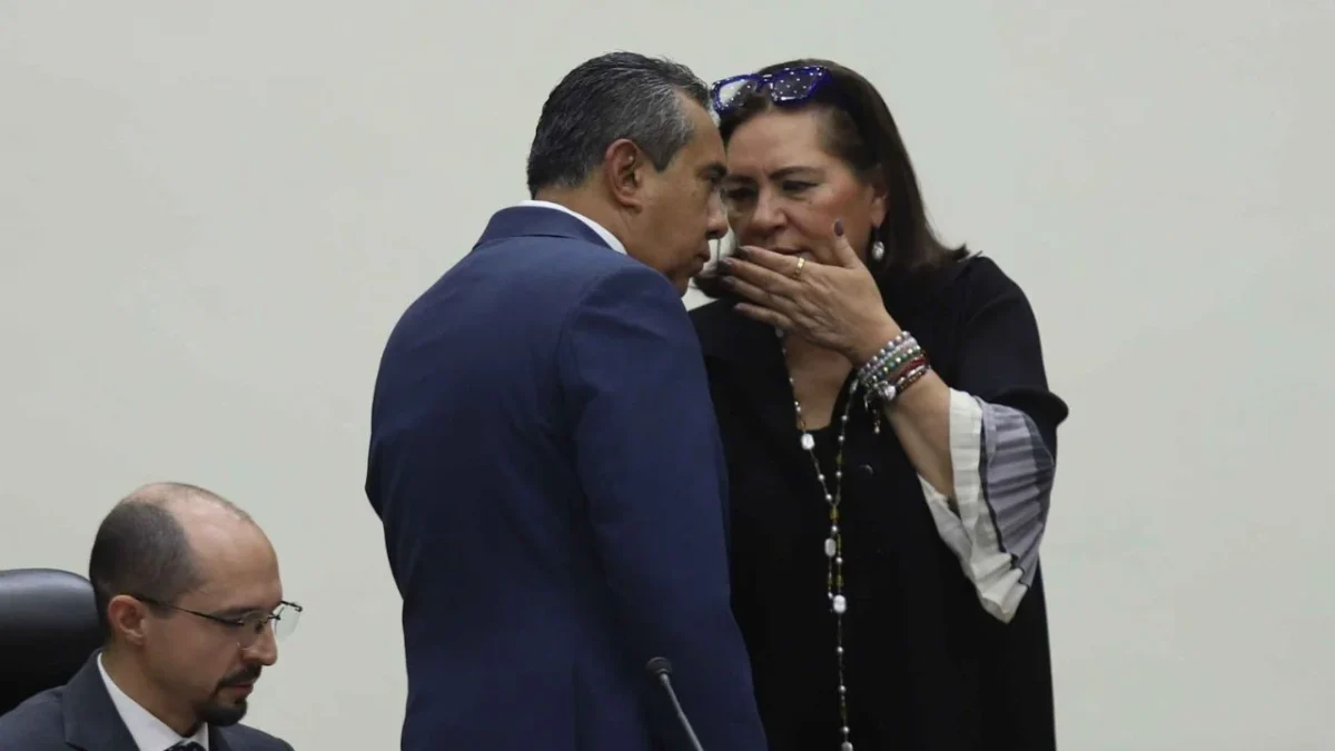 En el primer proceso de depuración se eliminaron 34 perfiles a consejerías del INE, mientras que la lista final incluirá a 21 aspirantes.