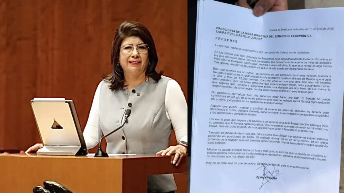 Mariela Gutiérrez reconoció tomar decisiones administrativas que derivaron en la muerte de al menos 10 mil perros cuando era presidenta municipal de Tecámac, Estado de México.