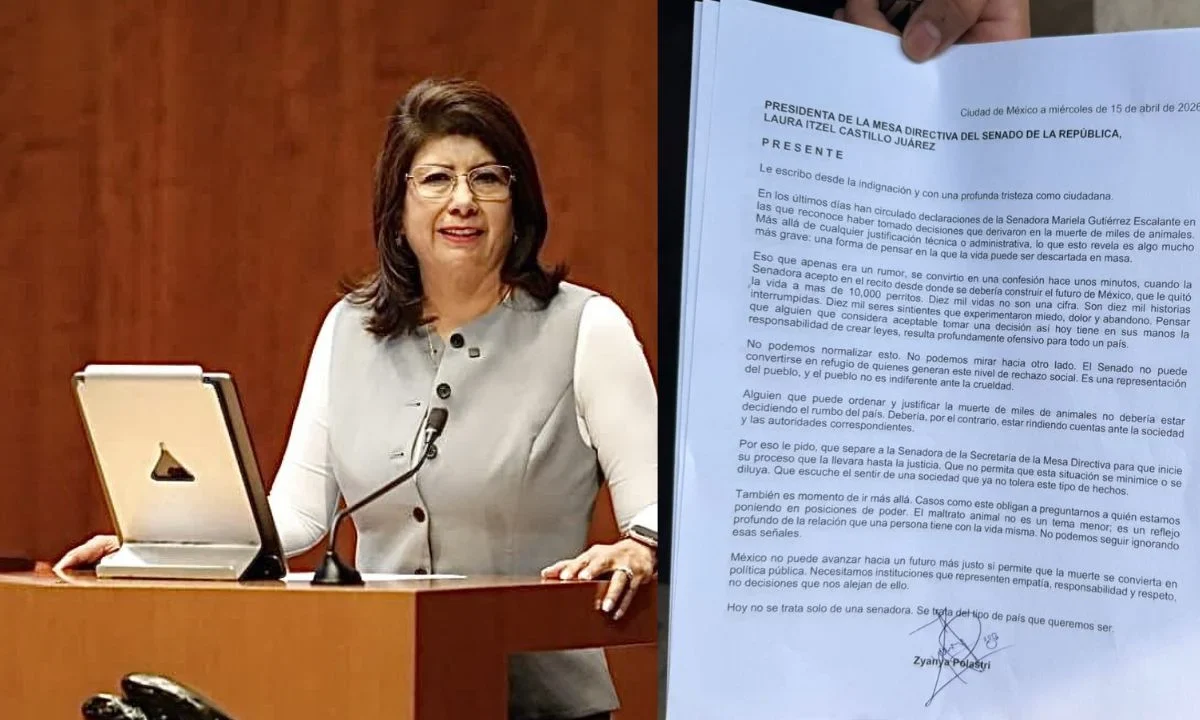Mariela Gutiérrez reconoció tomar decisiones administrativas que derivaron en la muerte de al menos 10 mil perros cuando era presidenta municipal de Tecámac, Estado de México.