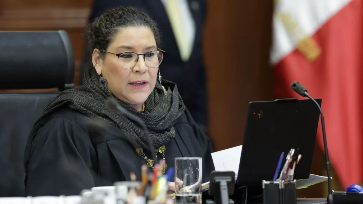 Lenia Batres argumentó que la cobertura del IMSS tiene un principio de racionalidad y no cuenta con los recursos para sostener la decisión.