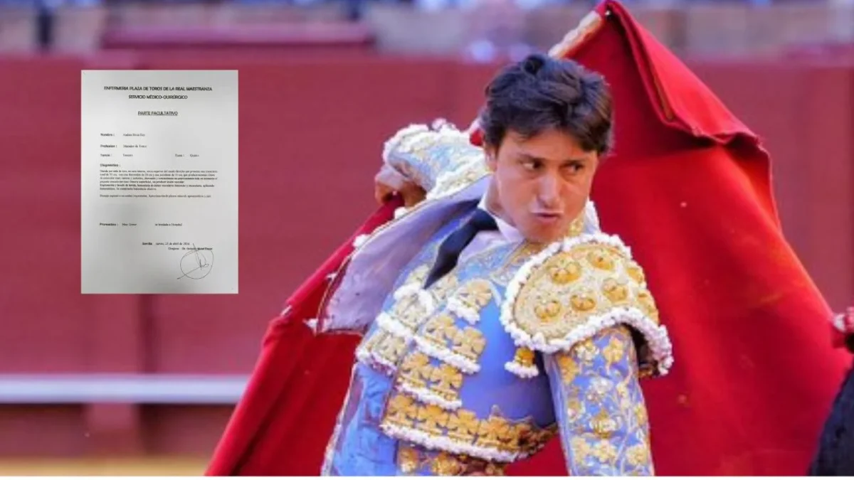 A días de la cornada que sufrió Morante de la Puebla, ahora el torero Roca Rey sufre una en La Maestranza de Sevilla.