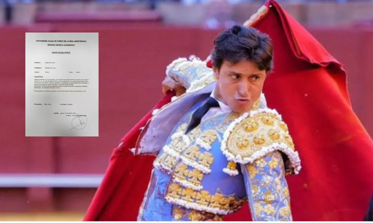 A días de la cornada que sufrió Morante de la Puebla, ahora el torero Roca Rey sufre una en La Maestranza de Sevilla.