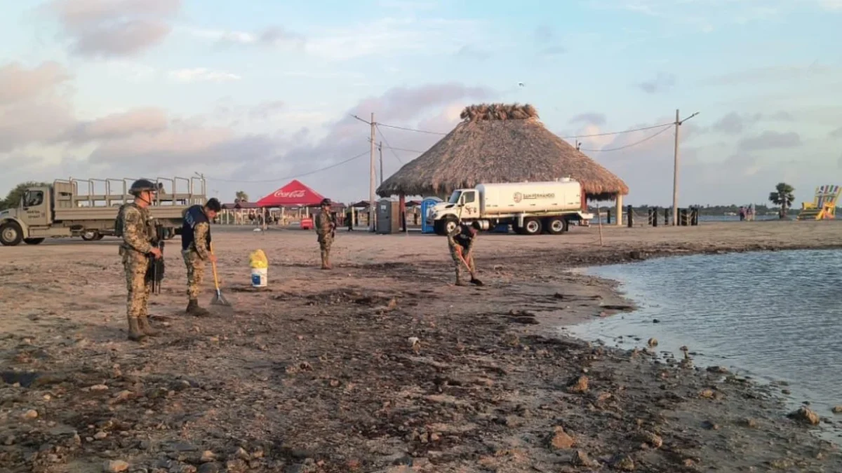 El Gobierno federal informó que ha recolectado 6 mil 379 toneladas de hidrocarburo en más playas del Golfo de México.