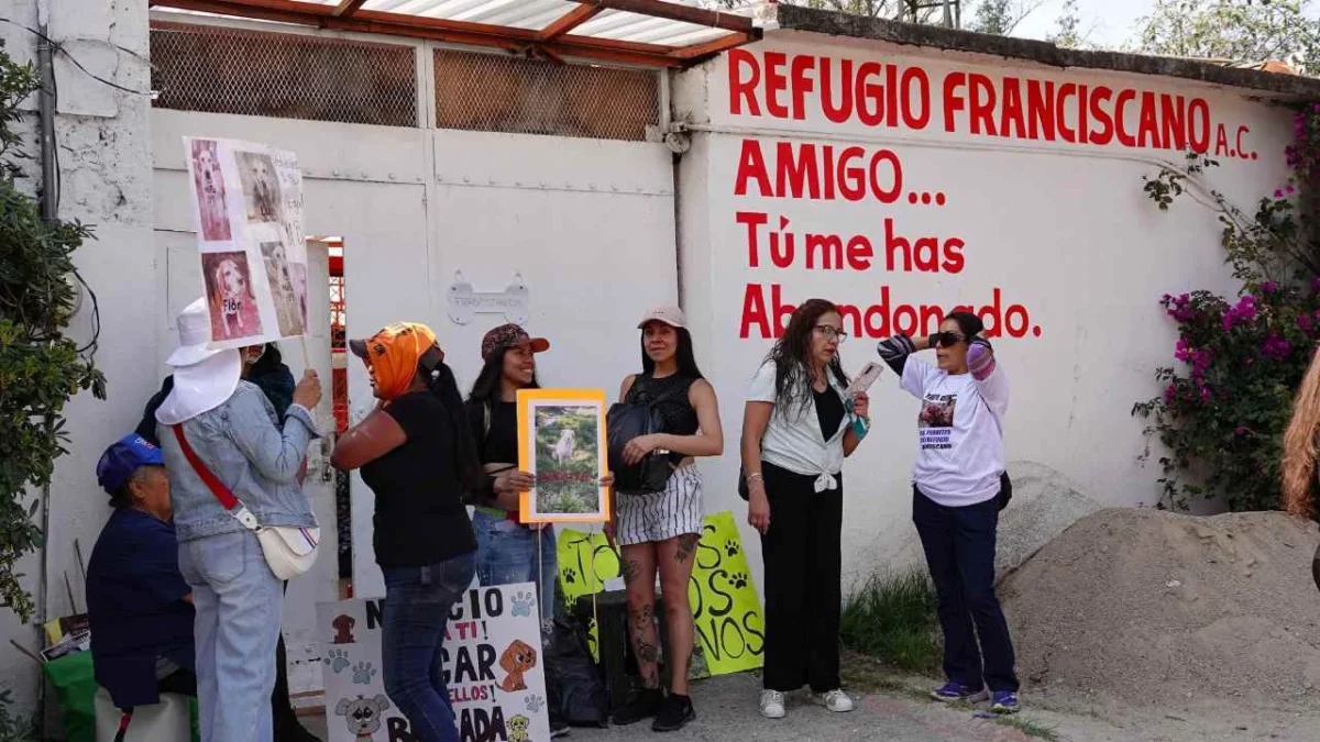 Regreso de animales a Refugio Franciscano sería desacato judicial, destacó la Fundación Haghenbeck.