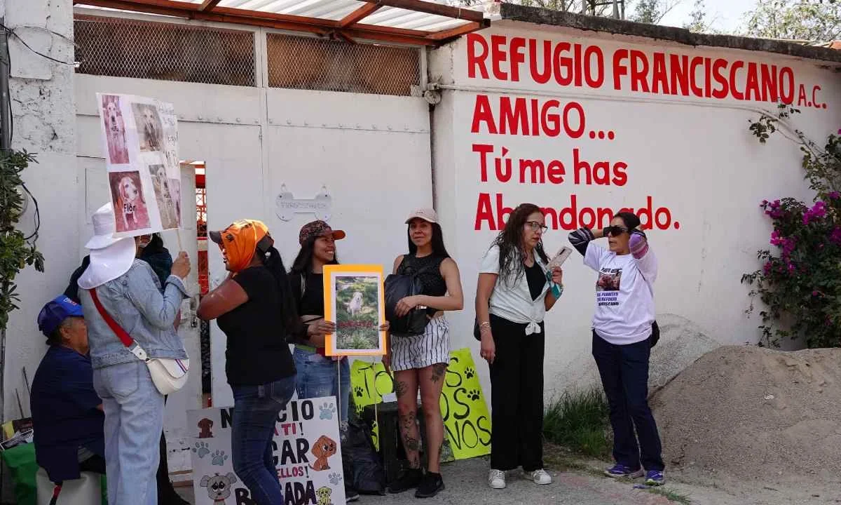 Regreso de animales a Refugio Franciscano sería desacato judicial, destacó la Fundación Haghenbeck.