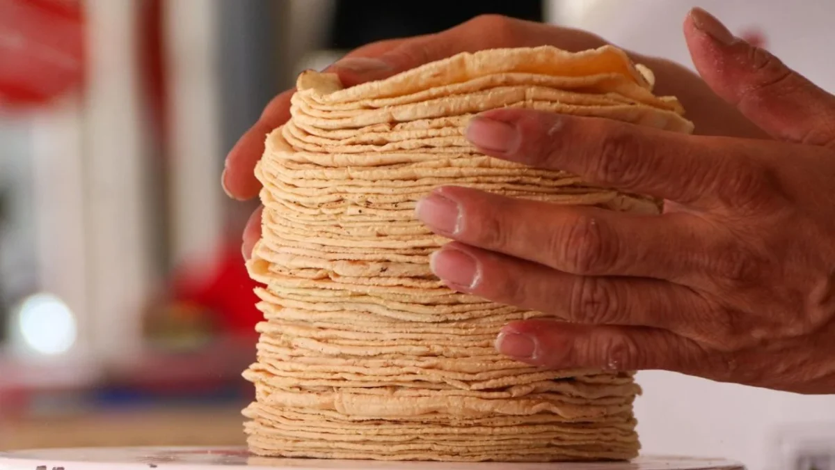 Sader y Profeco desmintieron que vaya aumentar el kilo de tortilla a pesar de que el sector insiste en ajustar el precio.