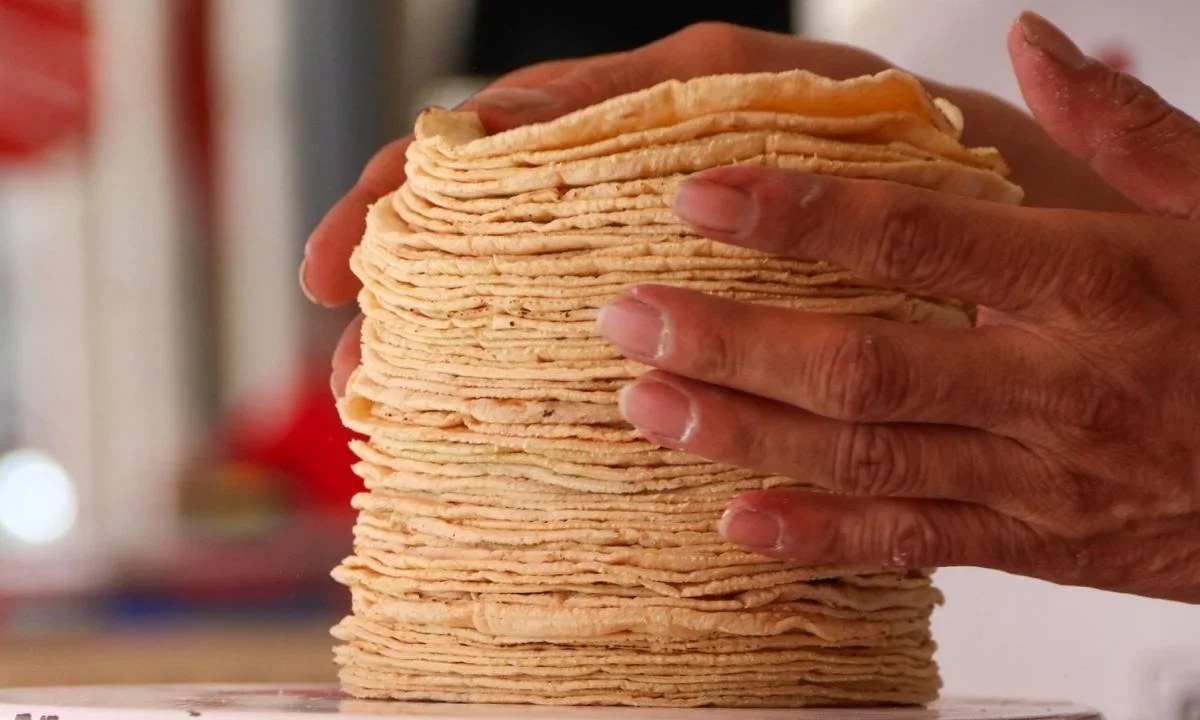 Sader y Profeco desmintieron que vaya aumentar el kilo de tortilla a pesar de que el sector insiste en ajustar el precio.
