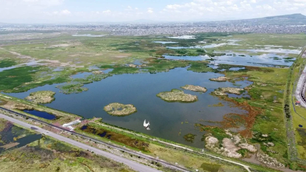 La SCJN confirmó la validez del Decreto por el que se declara área natural protegida la zona conocida como Lago de Texcoco.