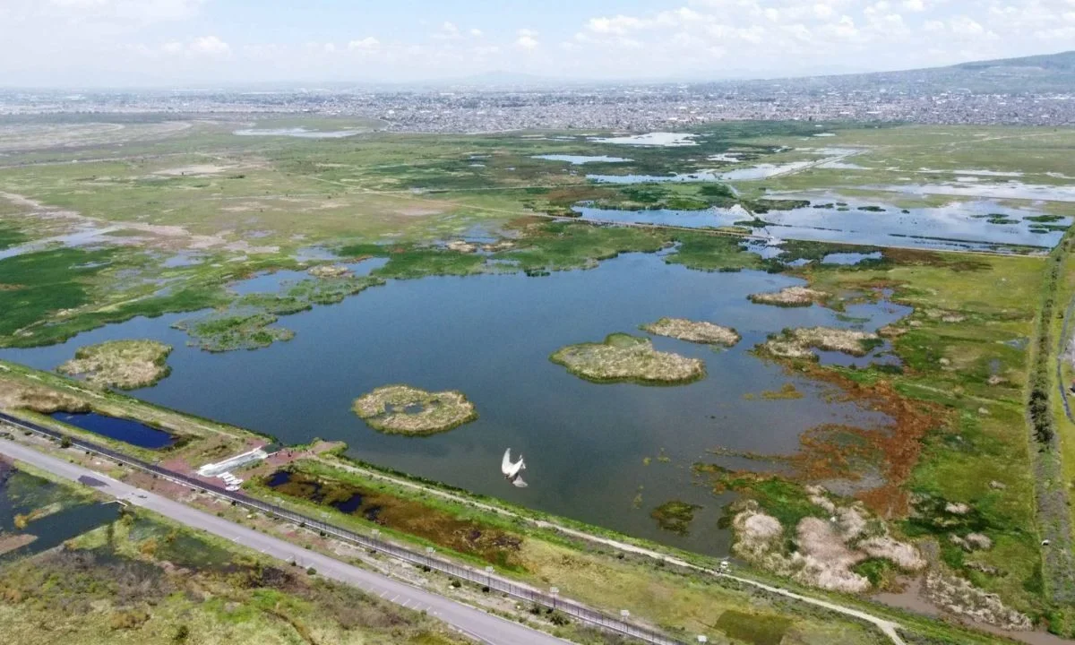 La SCJN confirmó la validez del Decreto por el que se declara área natural protegida la zona conocida como Lago de Texcoco.