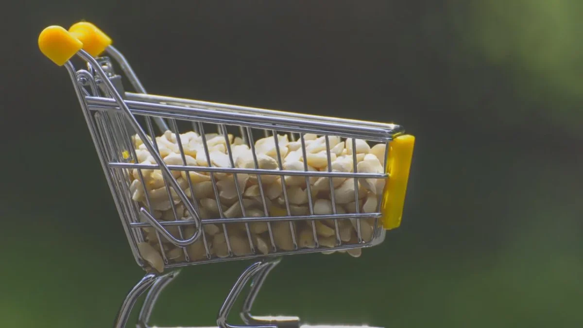 El comercio electrónico en México enfrenta un nuevo desafío: sube a un 20% la devolución de compras en línea.
