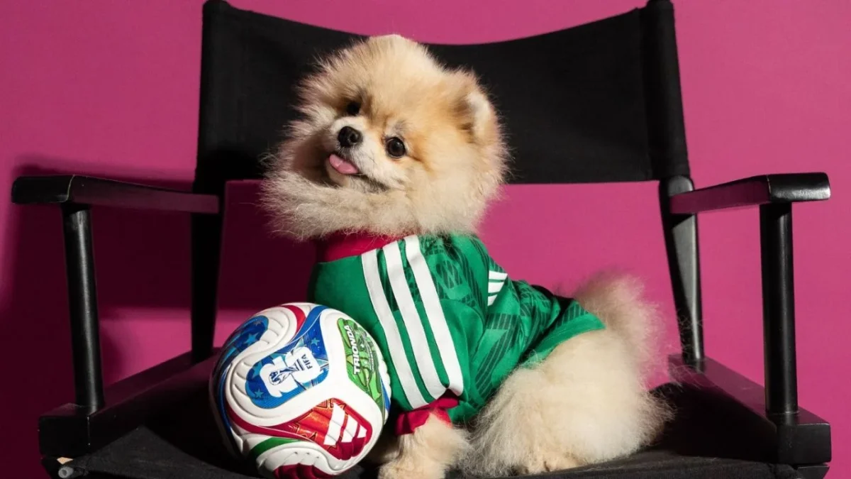 ¡Guau! Adidas lanza playeras de la Selección para perritos