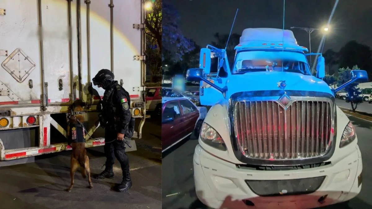 Detienen a cuatro personas con 1.2 toneladas de marihuana ocultas en cajas de huevo
