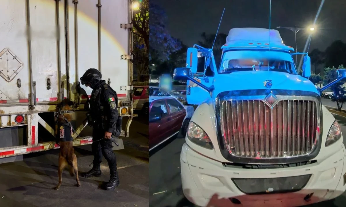 Detienen a cuatro personas con 1.2 toneladas de marihuana ocultas en cajas de huevo