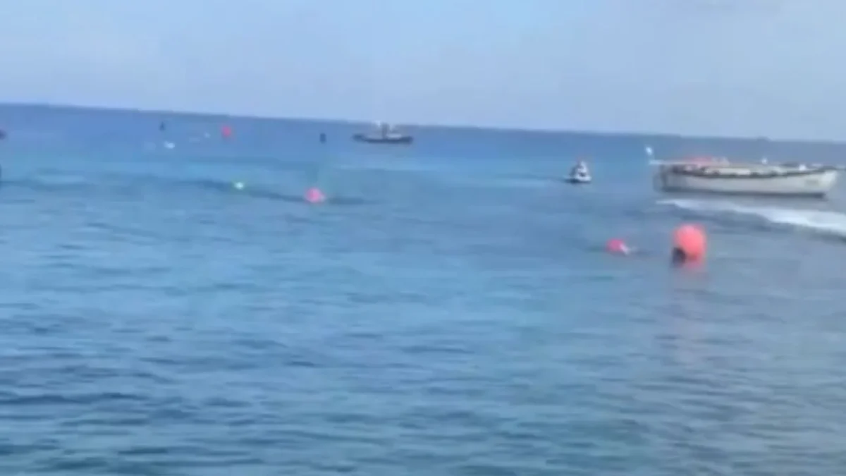 VIDEO: Captan a un cocodrilo durante una competencia infantil