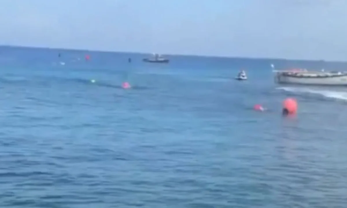VIDEO: Captan a un cocodrilo durante una competencia infantil
